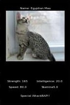 Feline Fury! – screenshot 6