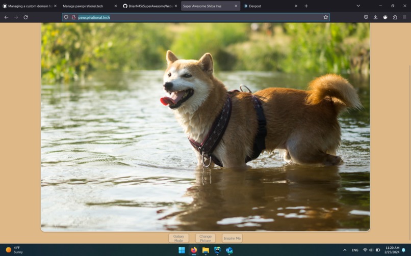 Super Awesome Shiba Inu Website – screenshot 1