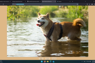 Super Awesome Shiba Inu Website