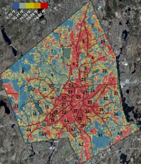 Leafy Lessons – screenshot 1