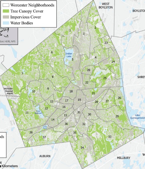 Leafy Lessons – screenshot 2