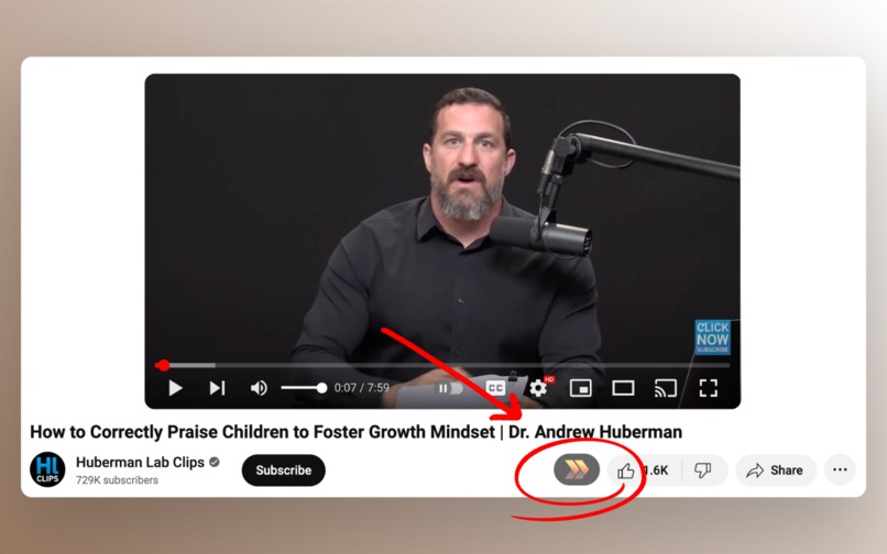 SummYT - Free YouTube Summary Generator – screenshot 1