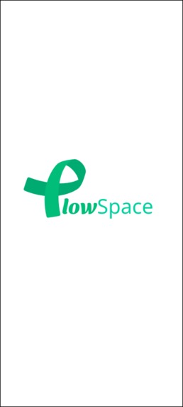 FlowSpace – screenshot 2