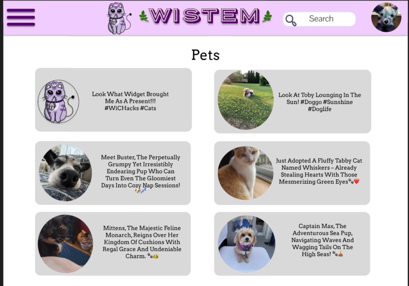 WiSTEM – screenshot 1