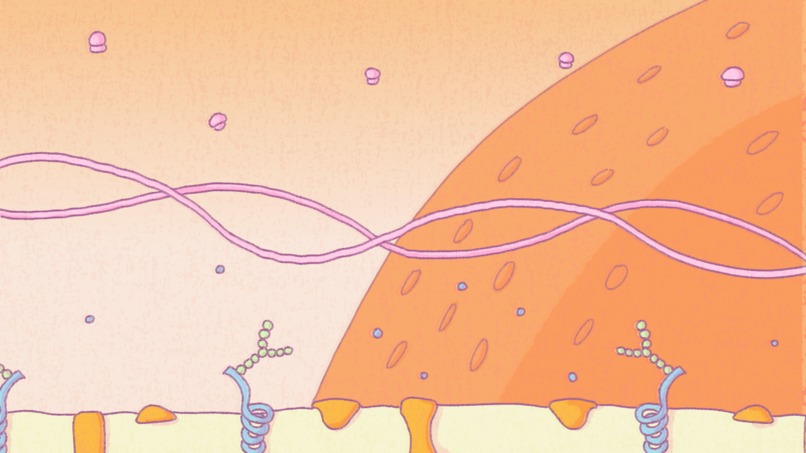 Cellular Adventure – screenshot 2