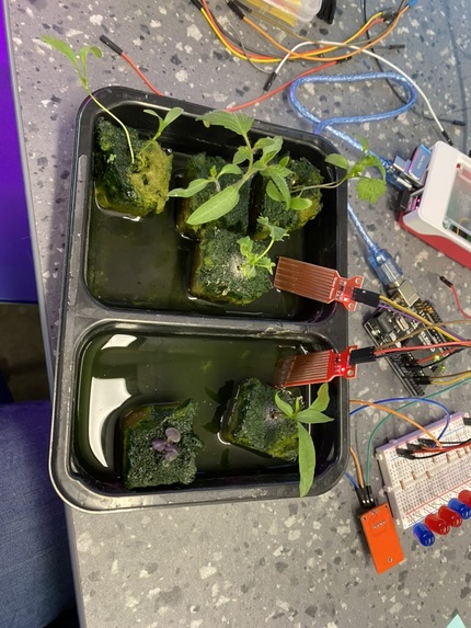 H2Grow – screenshot 10