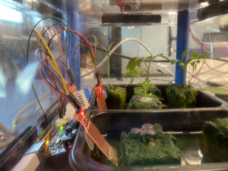 H2Grow – screenshot 14