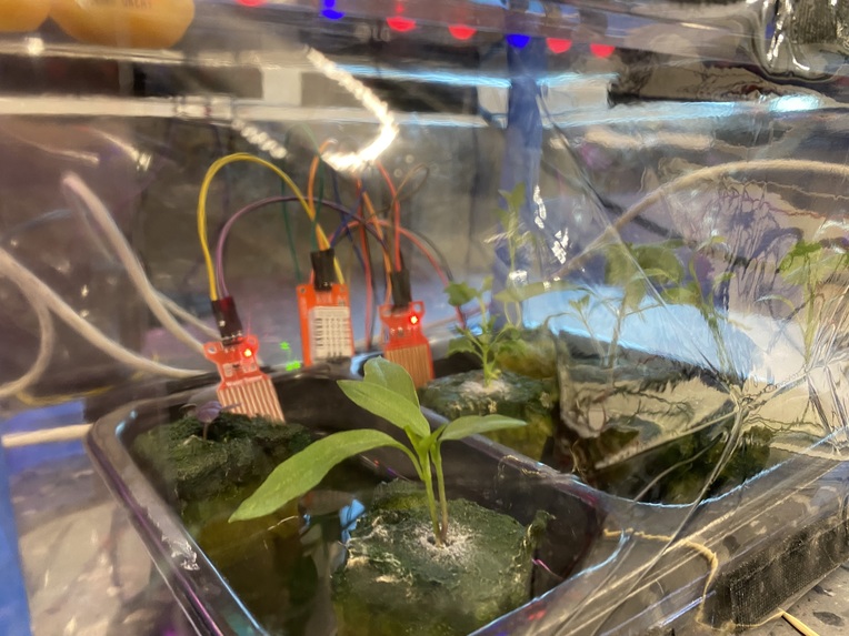 H2Grow – screenshot 16