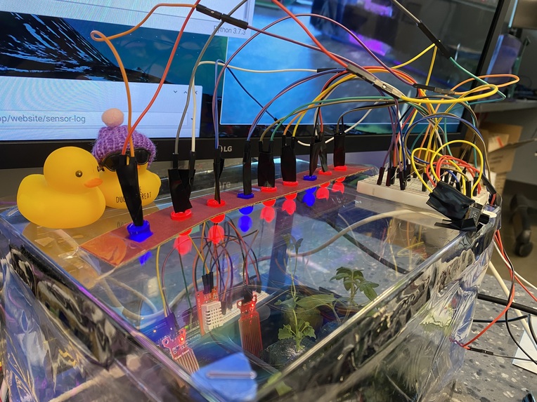 H2Grow – screenshot 18