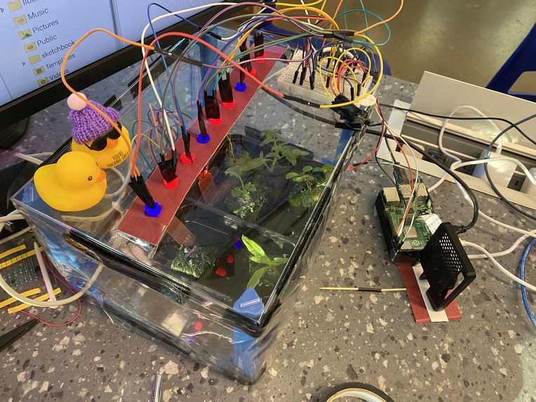 H2Grow – screenshot 19