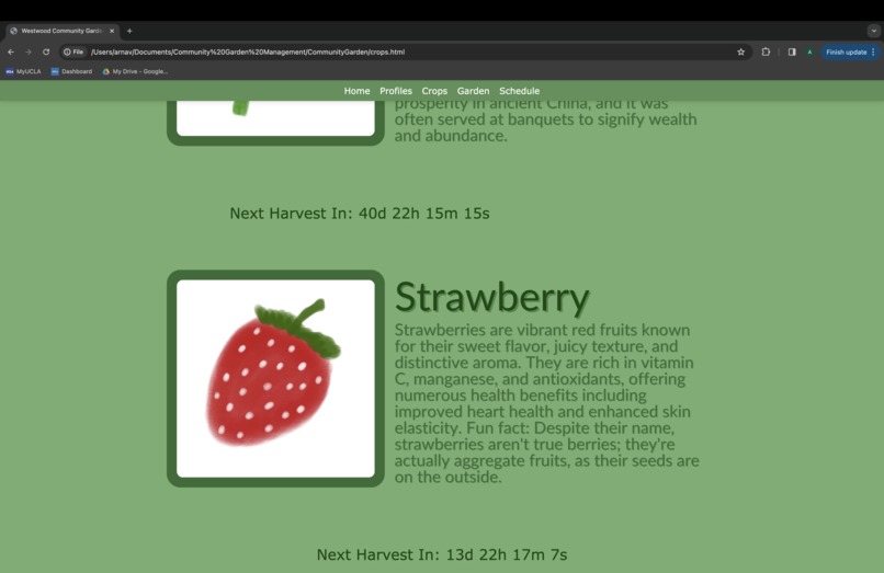 Westwood Community Garden – screenshot 2