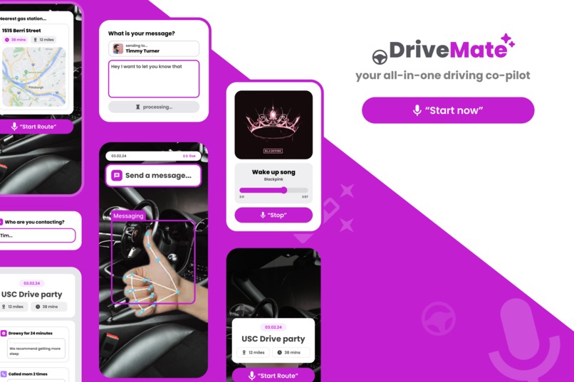DriveMate – screenshot 1