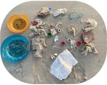 Moving Towards Zero Waste – screenshot 6