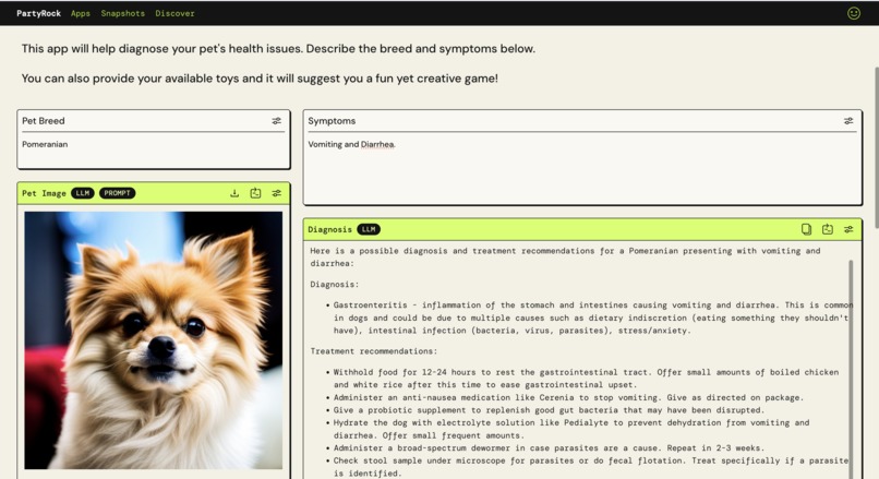 PetRock Doctor – screenshot 1