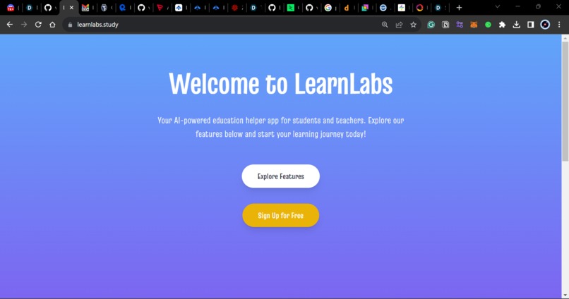 LearnLabs – screenshot 1