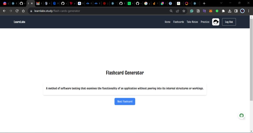LearnLabs – screenshot 8
