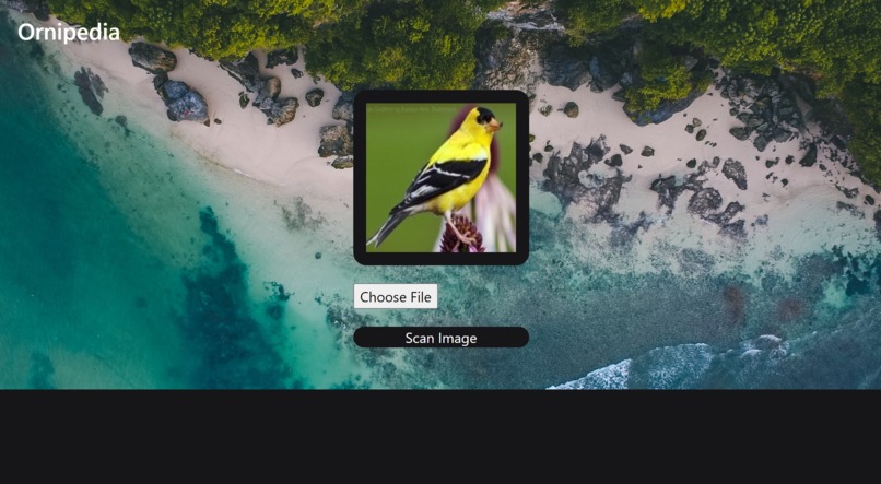 Ornipedia – screenshot 2