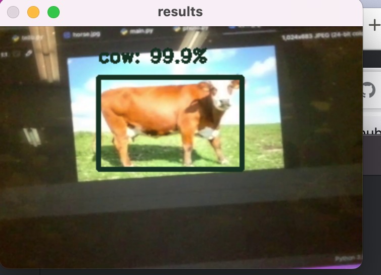 SkyVet – screenshot 1