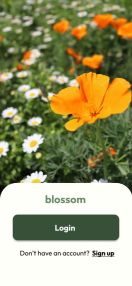 Blossom – screenshot 1