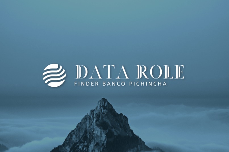 Data Role Finder at Banco Pichincha – screenshot 3