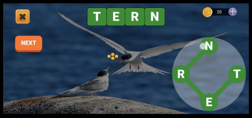 Bioda – screenshot 8