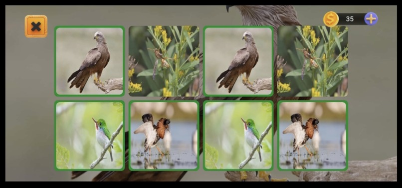 Bioda – screenshot 10