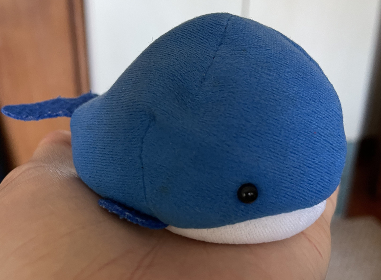 Feed Mushy the Whale! – screenshot 2