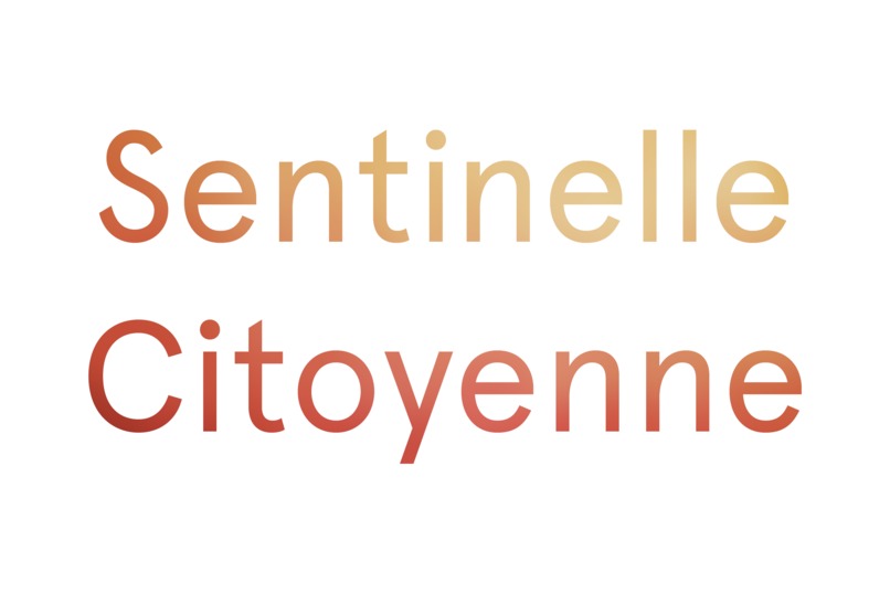 Sentinelle Citoyenne – screenshot 1