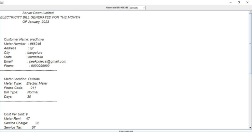 Elctricity consumer management and billing system  – screenshot 1