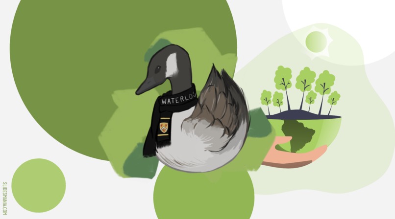 Green Goose  – screenshot 1