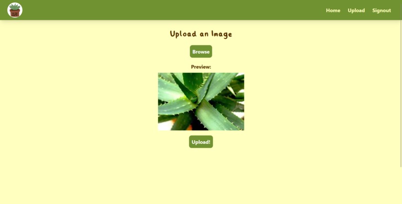 Aloe Mate – screenshot 4