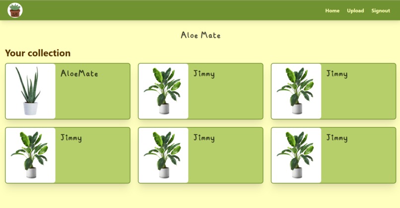 Aloe Mate – screenshot 2