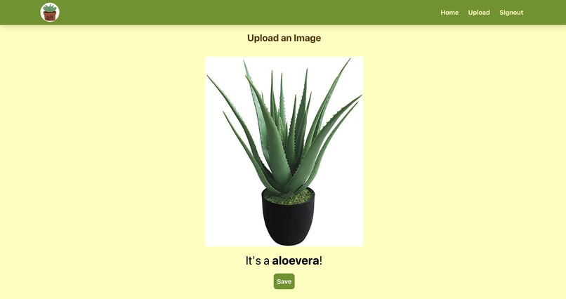 Aloe Mate – screenshot 5