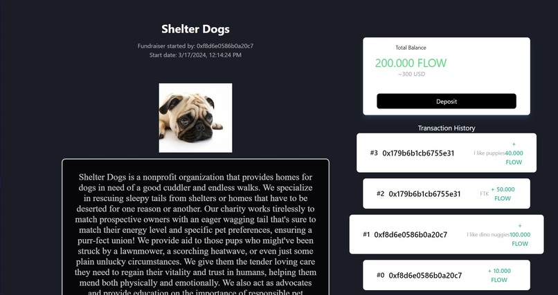 BlockFund – screenshot 2