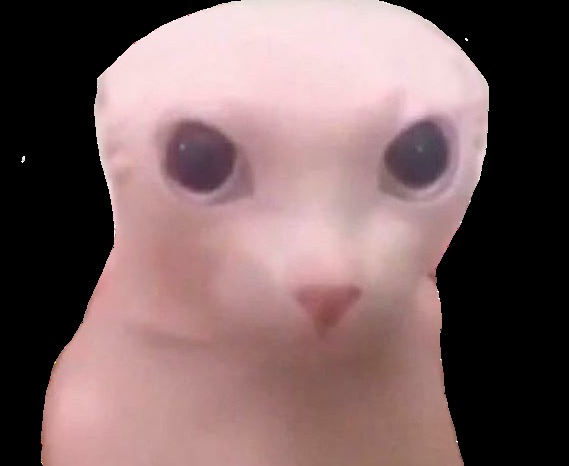 bingusbot by bingus – screenshot 1