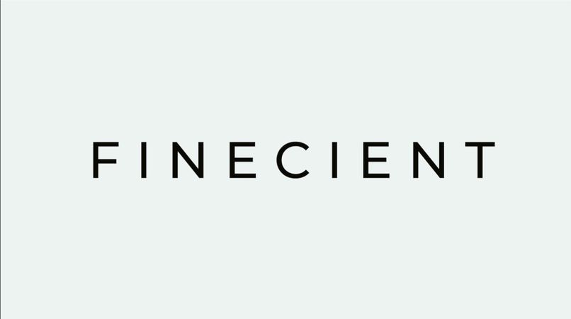 FINECIENT- Firms Valuation in Weak Efficient Markets.  – screenshot 1