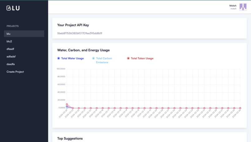 Blu - Creating Water and Carbon Neutral AI – screenshot 2