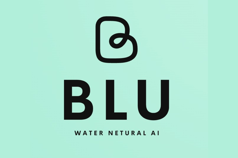 Blu - Creating Water and Carbon Neutral AI – screenshot 1