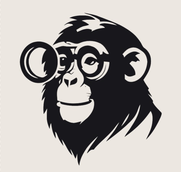 Seeker Monkey – screenshot 1