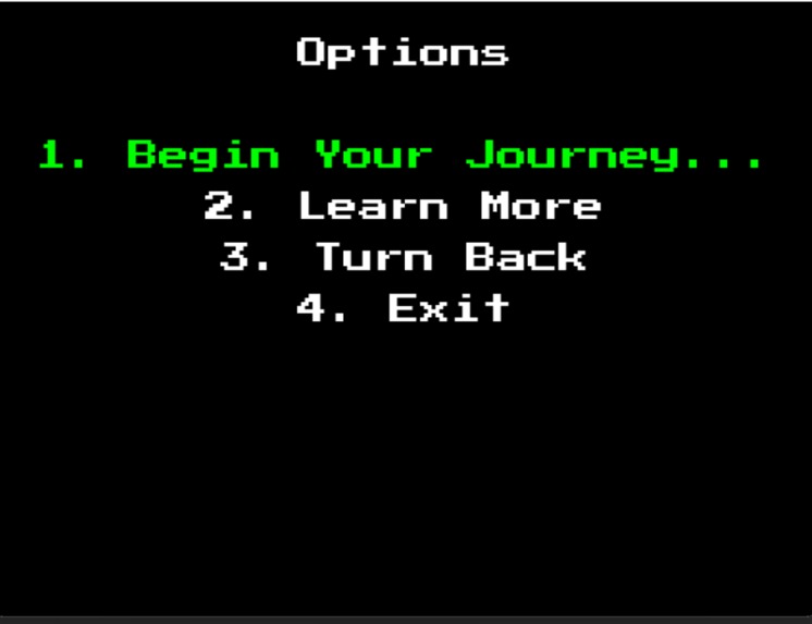 Hoohacks 2024 – screenshot 2