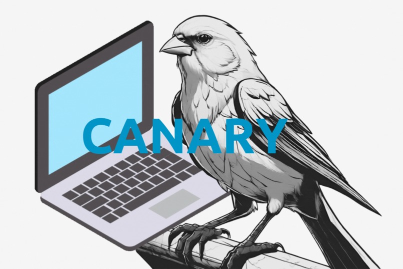 Canary  – screenshot 4