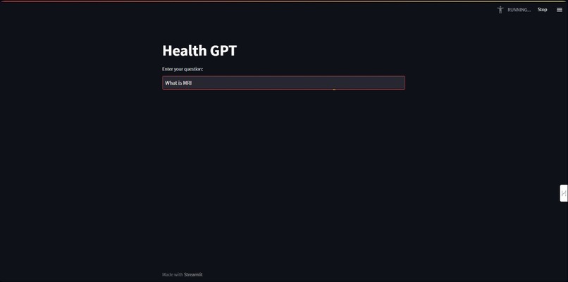 Health GPT – screenshot 2