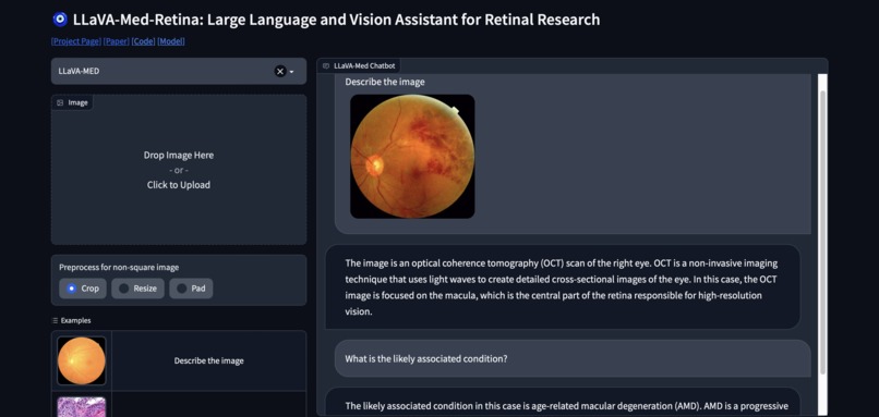 LLaVA-Med-Retina – screenshot 4