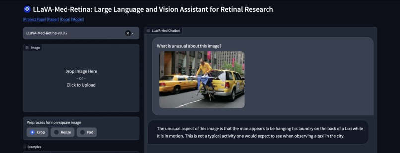 LLaVA-Med-Retina – screenshot 8