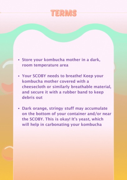 Booch Buddy – screenshot 4