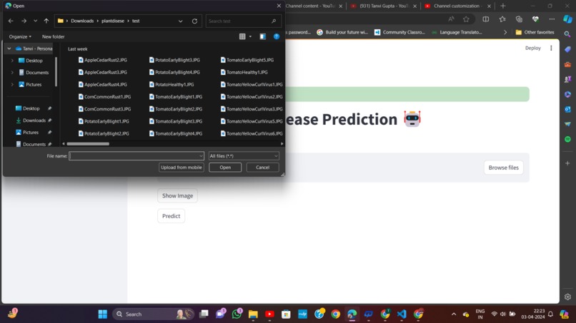 "Green Health Monitor ☘️- A Plant Disease Detection System " – screenshot 5
