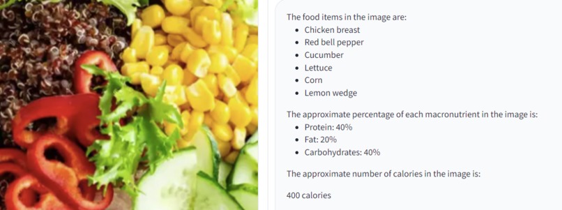 Personal Life Style Coach – screenshot 1