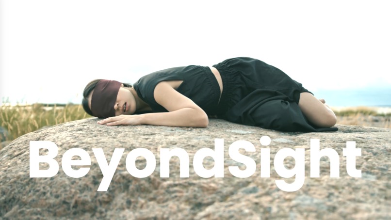 BeyondSight – screenshot 3