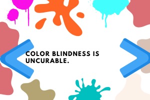 DaltonEyes – screenshot 3