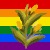 Be Gay Grow Plant! – screenshot 1